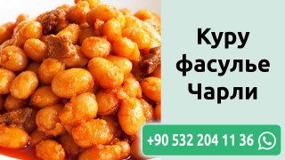 Куру фасулье Чарли